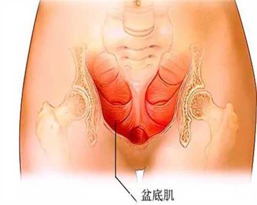 代孕选性别成功率高吗：北京五洲妇儿医院科普